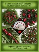 Роза Золотые ворота Голден Гейт плетистая