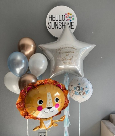 Набор шаров на выписку №4