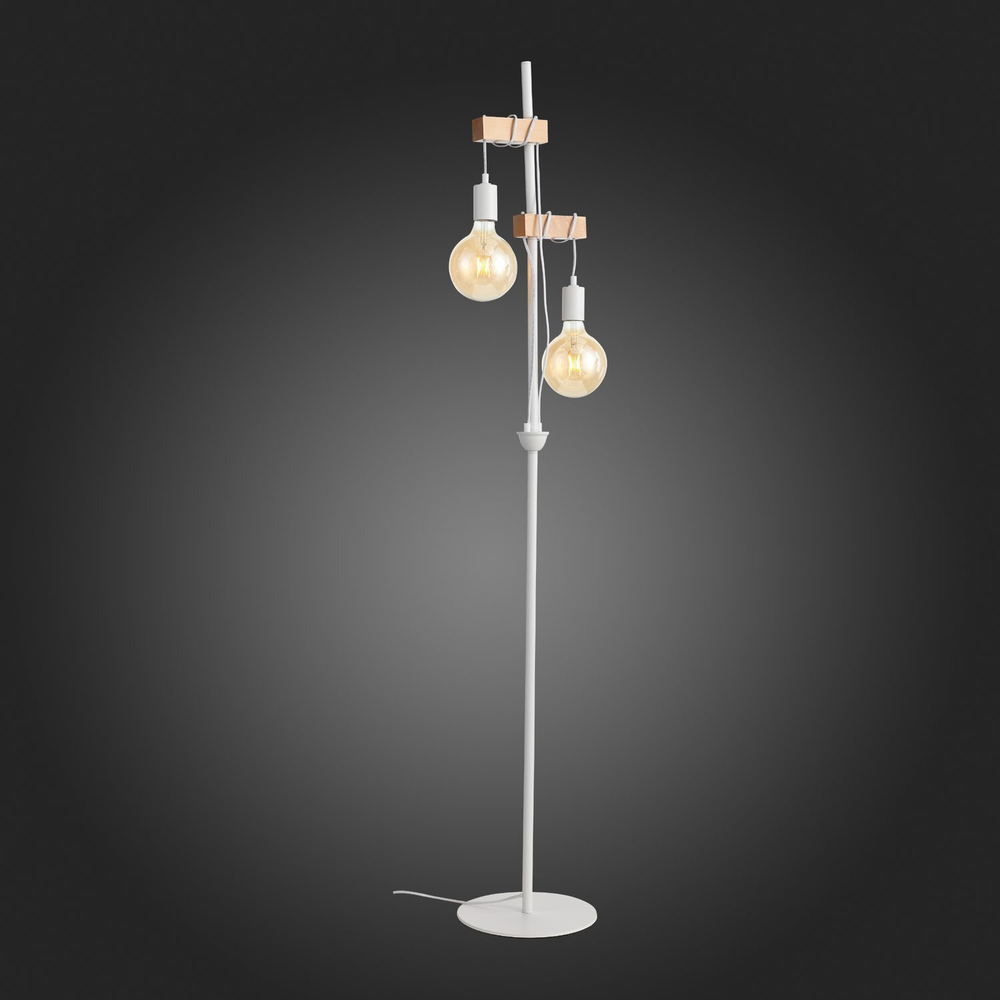 Светильник напольный Evoluce Bagetti SL1142.505.01