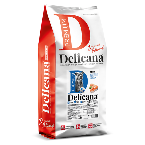 Delicana корм сухой для взрослых собак крупных пород лосось, рис