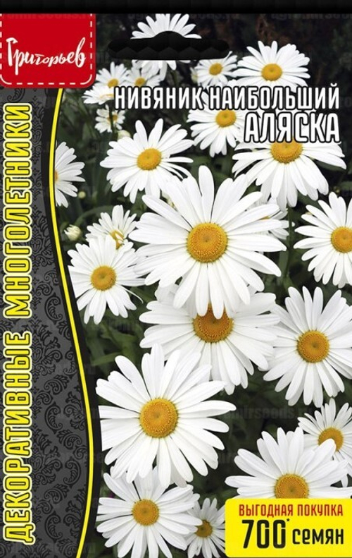 Нивяник наибольший Аляска