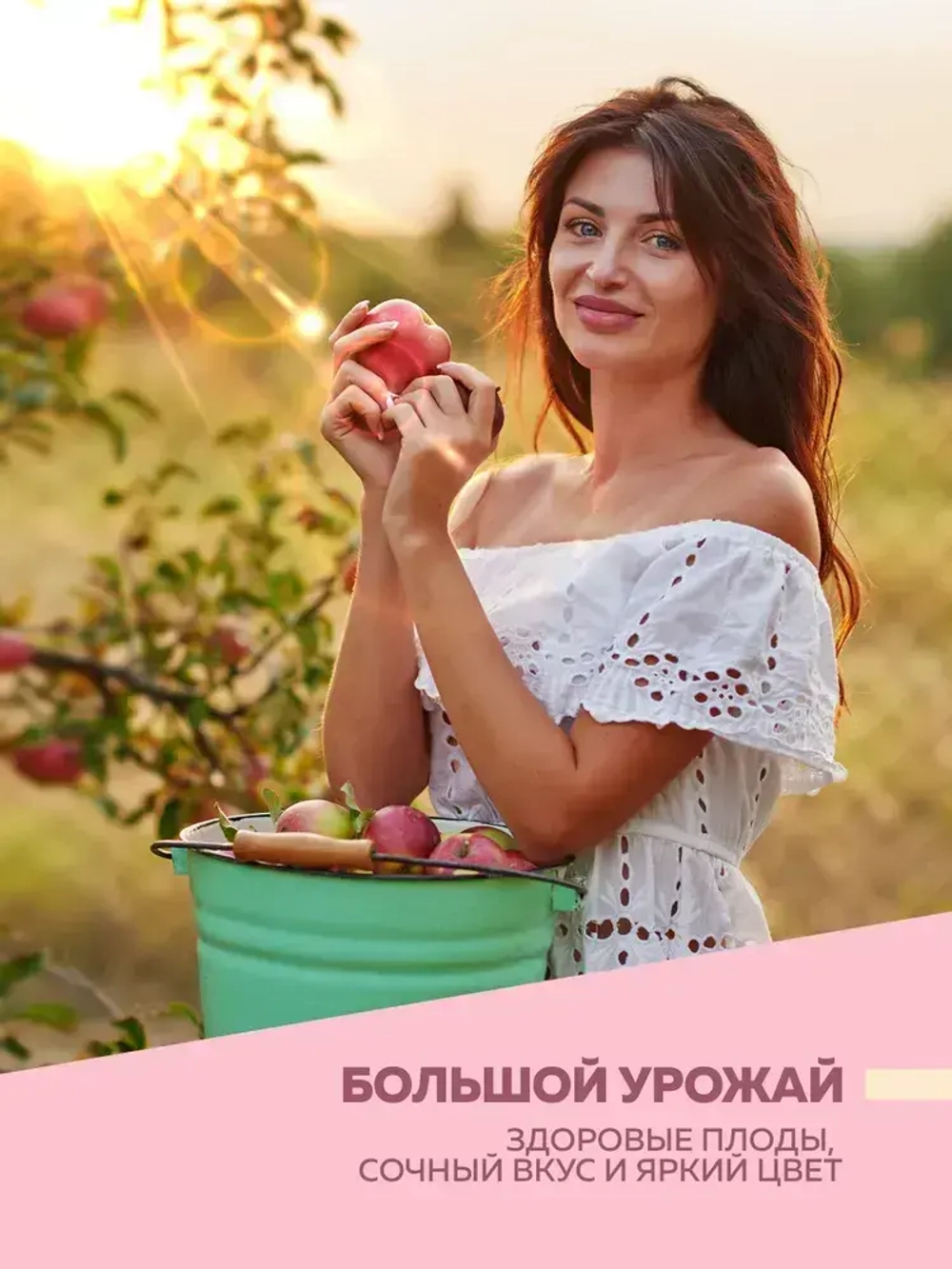 Краска побелка для садовых деревьев и кустарников 1,2 кг FARBITEX, с антибактериальными добавками для защиты коры от болезней и паразитов