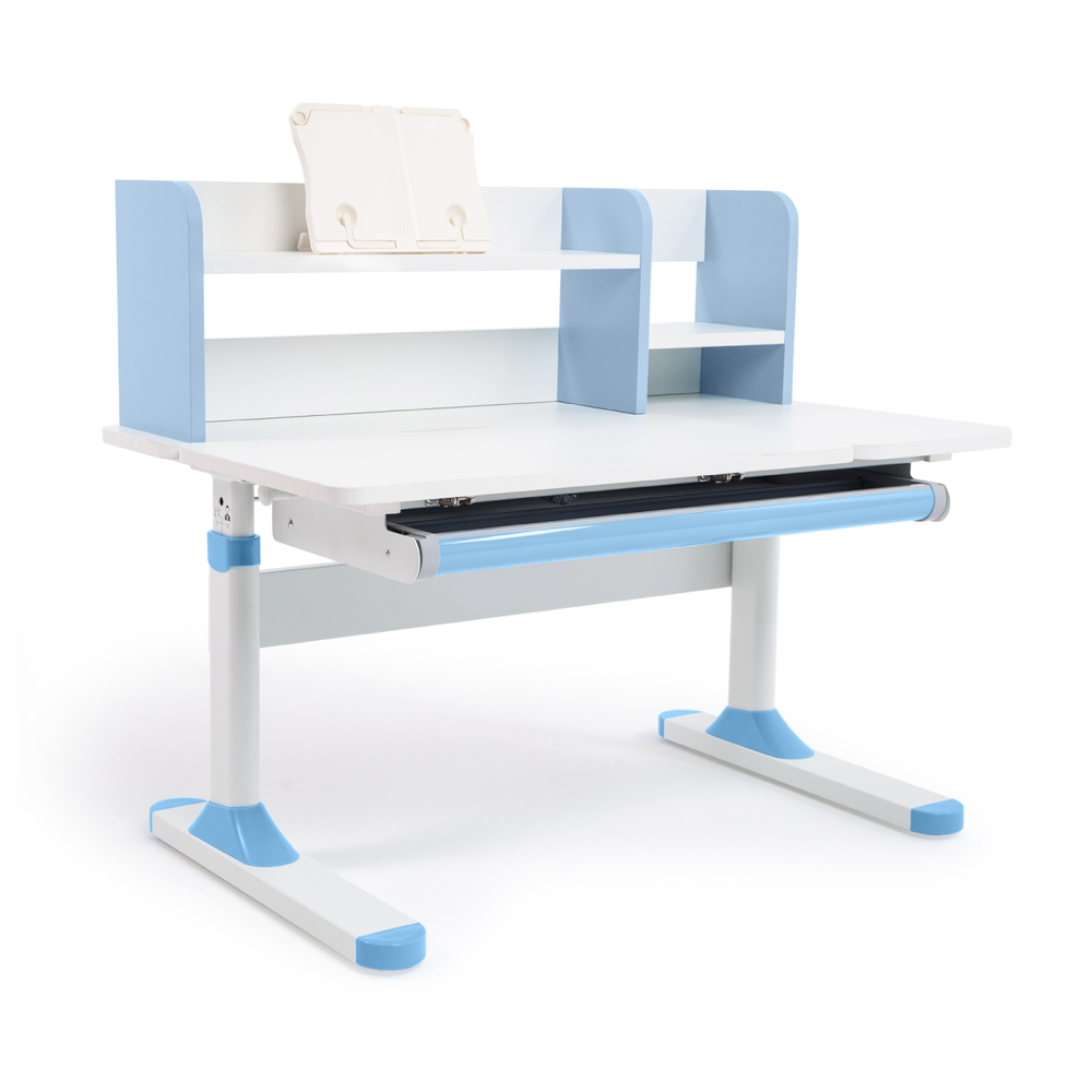 Растущая парта Ergokids Argo-2