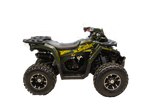 Квадроцикл TAO MOTOR SHARK 150 PRO