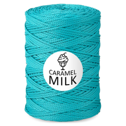 Шнур Caramel Milk, 3мм, 300м, 100% полиэфир (1 шт.)