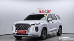 Hyundai Palisade Бензин 3.8 4WD (08.2020)