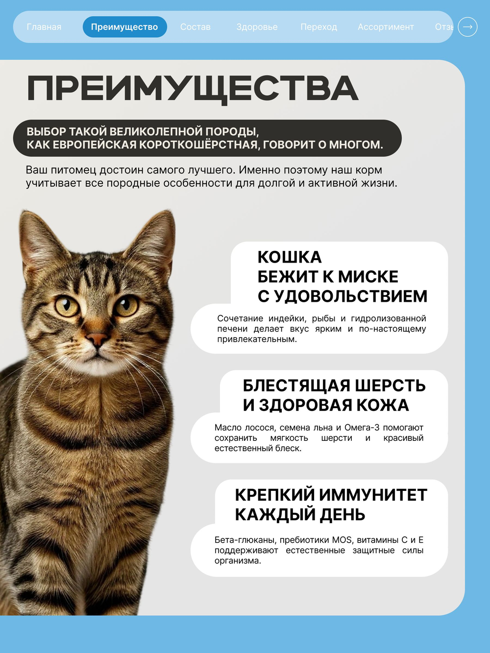 Корм сухой для взрослых кошек породы Европейская короткошёрстная, с лососем, 2 кг, QUATTRO
