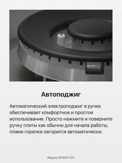 Газовая панель Hansa BHGI631301