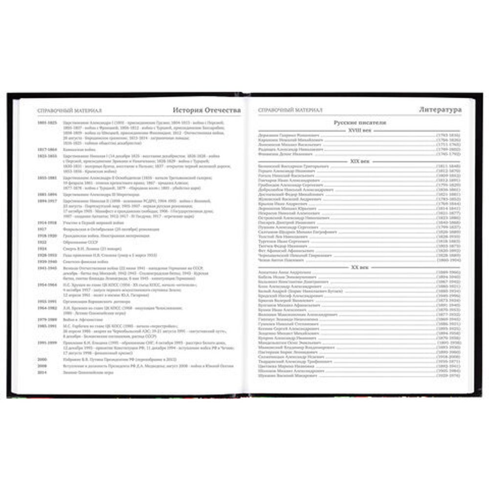 Дневник 5-11 класс 48 л., гибкая обложка, BRAUBERG, глянцевая ламинация, с подсказом, "Гепард", 106862