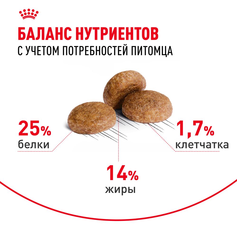 Сухой корм Royal Canin Medium Adult 7+ для взрослых собак средних размеров от 7 лет и старше Сухой корм Royal Canin Medium Adult 7+ для взрослых собак средних размеров от 7 лет и старше