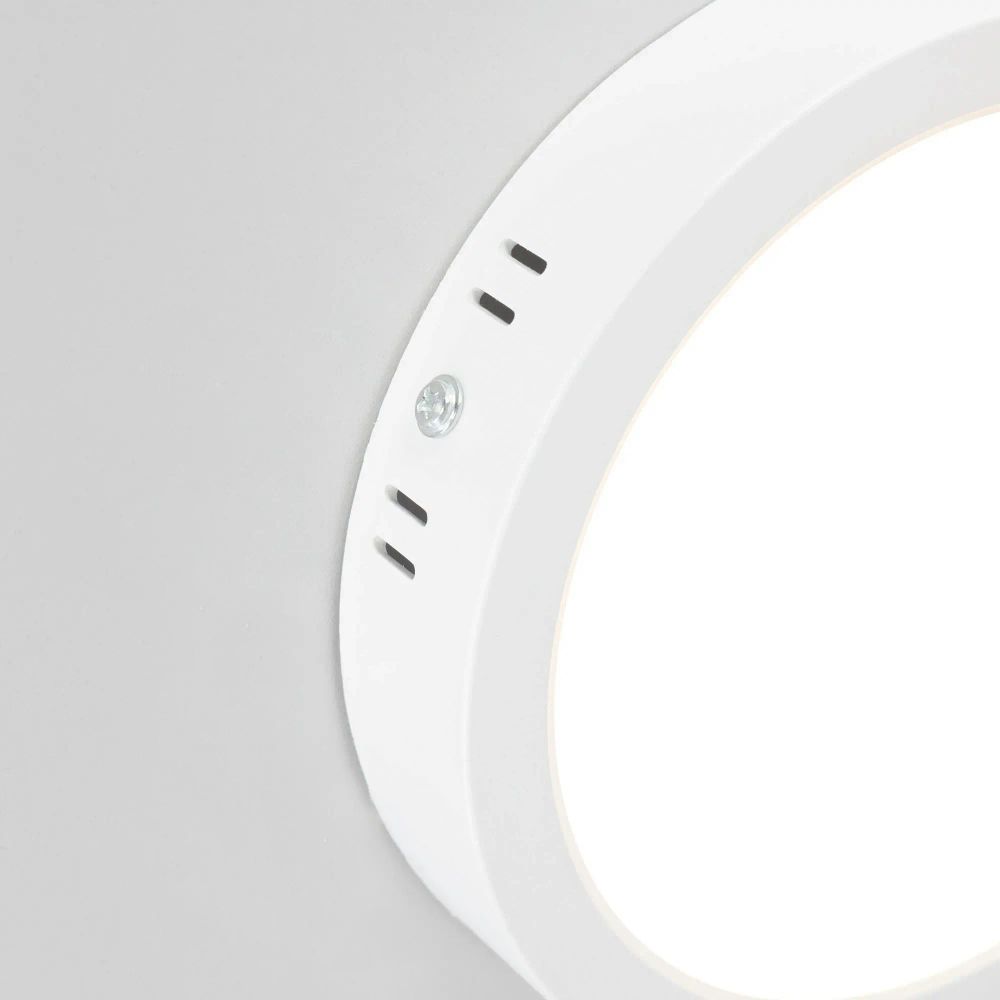 Citilux Галс CL5516N Светильник накладной светодиодный