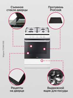 Газовая плита Hansa FCGW61000