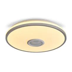 умный Потолочный светильник FR6226CL-L36W Ронд / Rond 38 Вт LED Freya fr6226cl-l36w