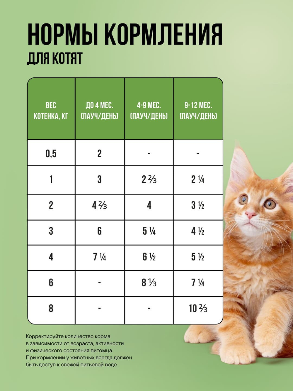 Влажный корм для котят и беременных кошек беззерновой с ягненком и овощами в соусе BOWL WOW 0,085 г. 12 упаковок