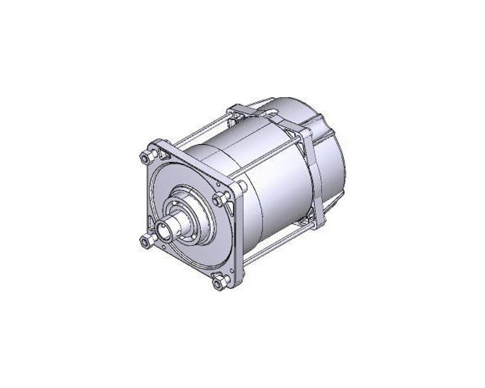 Электродвигатель E306 EMEGA, CAME 119RIE151
