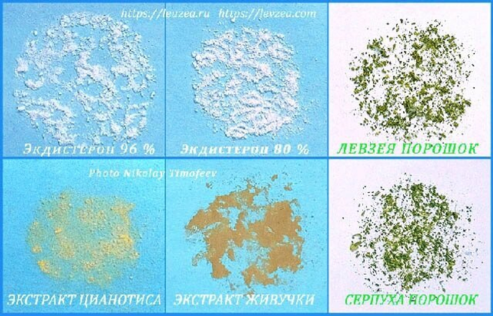 Экдистерон очищенный - фото