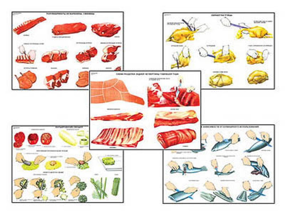 Плакаты ПРОФТЕХ &quot;Первичная обраб. продуктов и приготовление полуфабрикатов&quot; (15 пл, винил, 70х100)