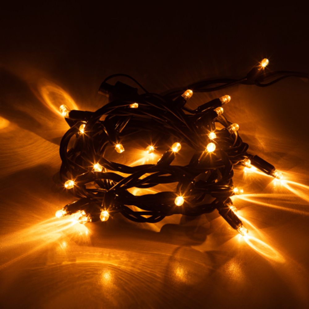 Гирлянда ЭРА ERAPS-NZ1 светодиодная новогодняя уличная нить 3 м желтая 30LED | Профессиональное праздничное и новогоднее освещение