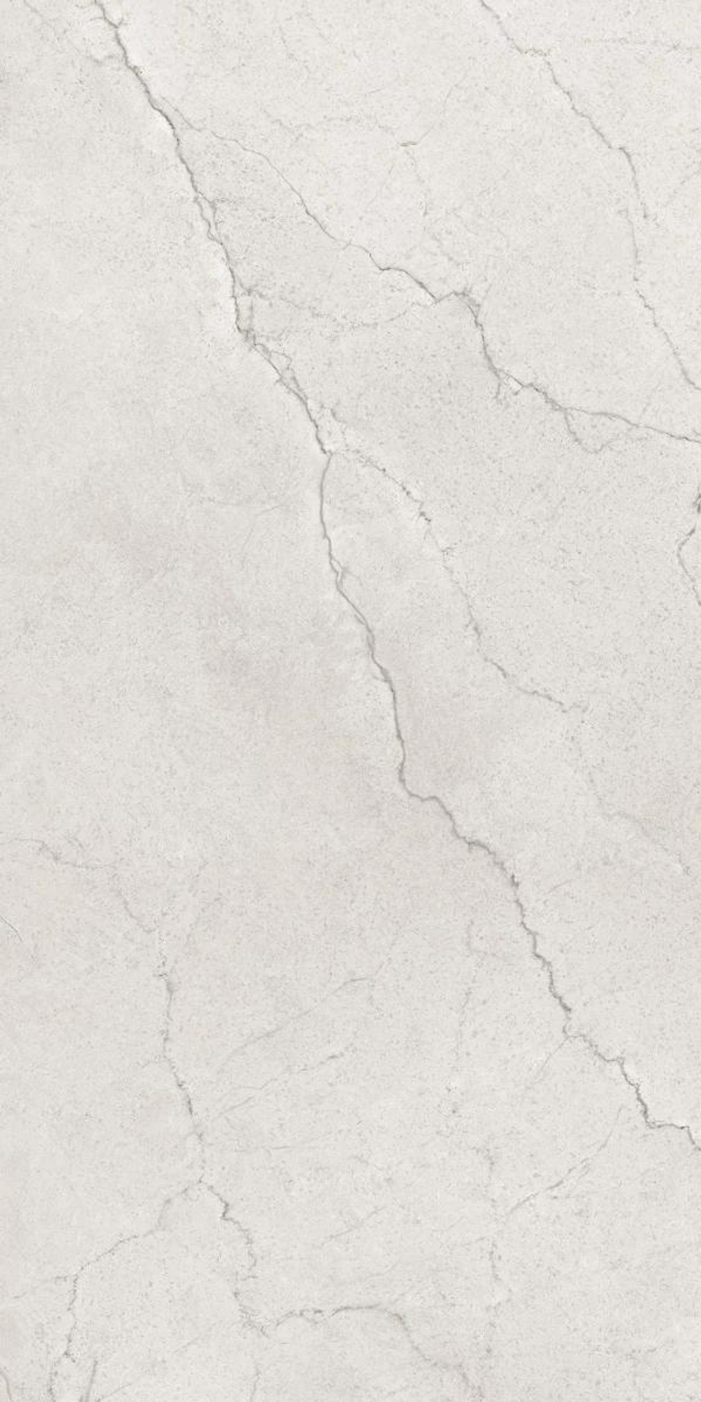 Керамогранит, MAIMOON, Flority Ash, 1200x600 мм, полированная