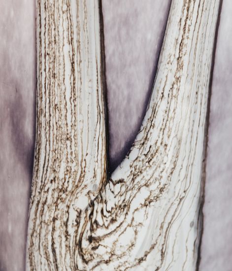 Broceliande Totem, ваза аромадиффузора Woods collection, Baobab Collection