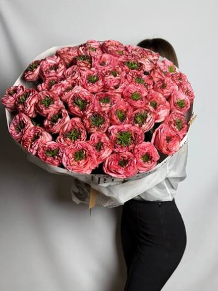 Коралловая любовь