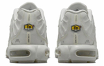 Кроссовки A-Cold-Wall* X Nike Air Max Plus "Stone"