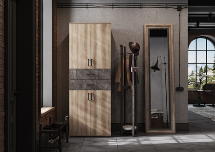 Шкаф Нельсон ШК 05 Дуб Каньон/Железный камень