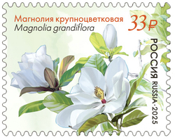 Марка номиналом 33 рубля. Растения Крымского полуострова