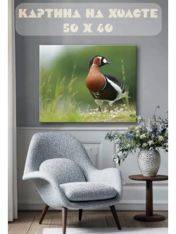 Картина на стену 40 X 50 Утка
