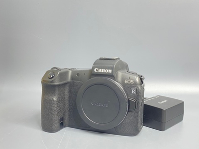 Canon EOS R 31000 кадров