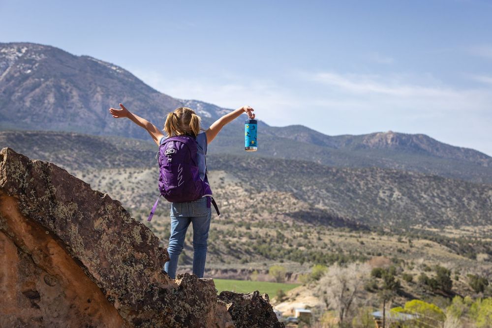 Термокружка Klean Kanteen TKWide Twist Cap 12oz (355 мл) Surfer