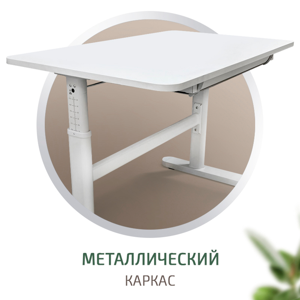 Растущая парта Ergokids Boston