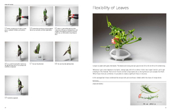 Inspiring Ikebana