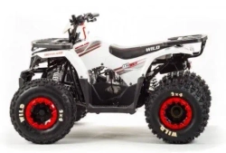 Квадроцикл Motoland 125 WILD (2020 г.)