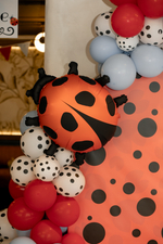 Lady Bug Party