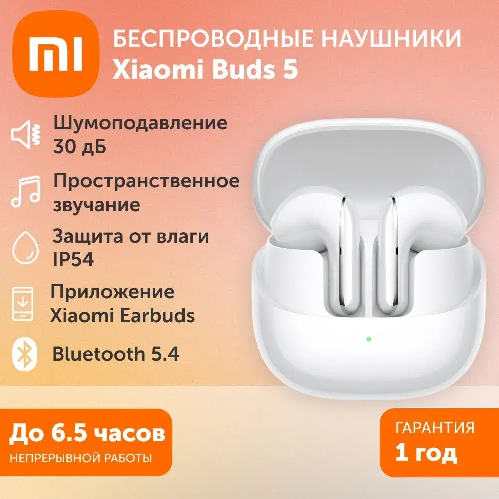 Беспроводные наушники Xiaomi Buds 5 (серый)
