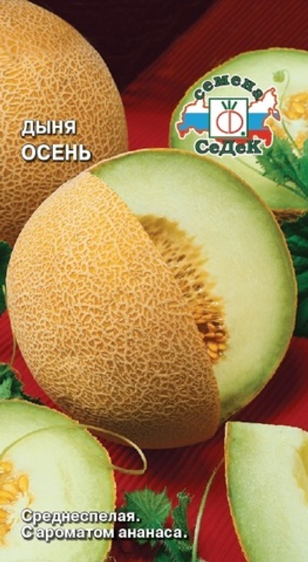 Дыня Осень Седек