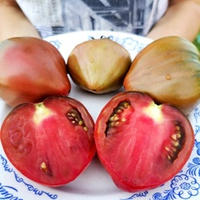 Помидоры Пурпурное Сердце Лилипута - Dwarf Purple Heart Tomato