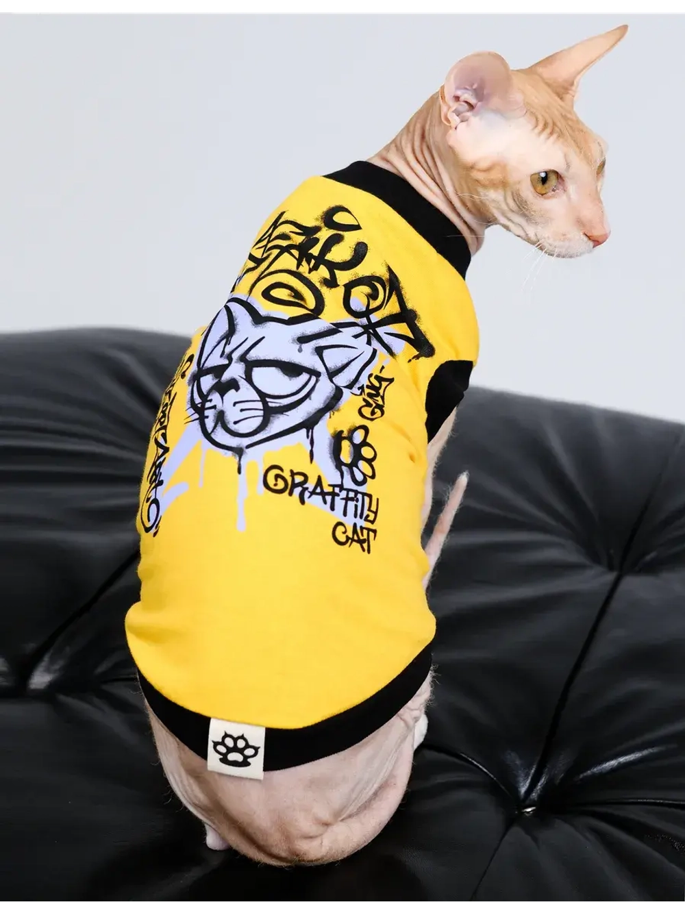 Одежда для кошек сфинкс