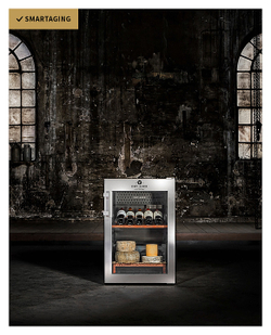 Шкаф для вызревания мяса DRY AGER DX 500 Premium S с подсветкой