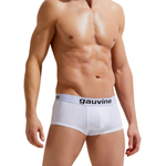 Мужские трусы-боксеры с брендированной резинкой Gauvine (Размер: XL) (Цвет: черный)