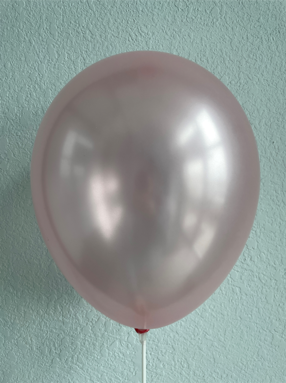 роз  Изображение2