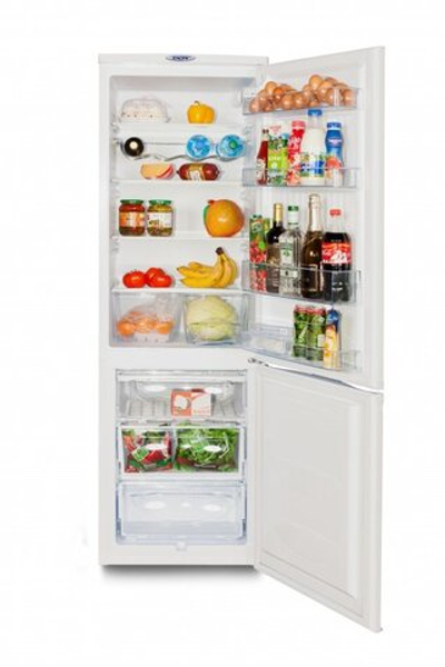 Холодильник DON R-291K Снежная королева