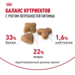ROYAL CANIN (Роял Канин) Sensible Корм сухой сбалансированный для взрослых кошек с чувствительной пищеварительной системой, 1,2 кг