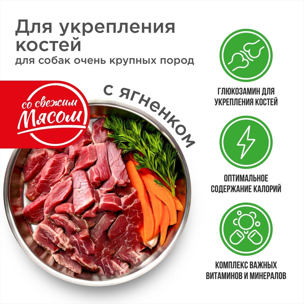 Корм сухой для взрослых собак очень крупных пород, премиум полнорационный комплекс, укрепление костей, с ягненком, 12 кг, QUATTRO