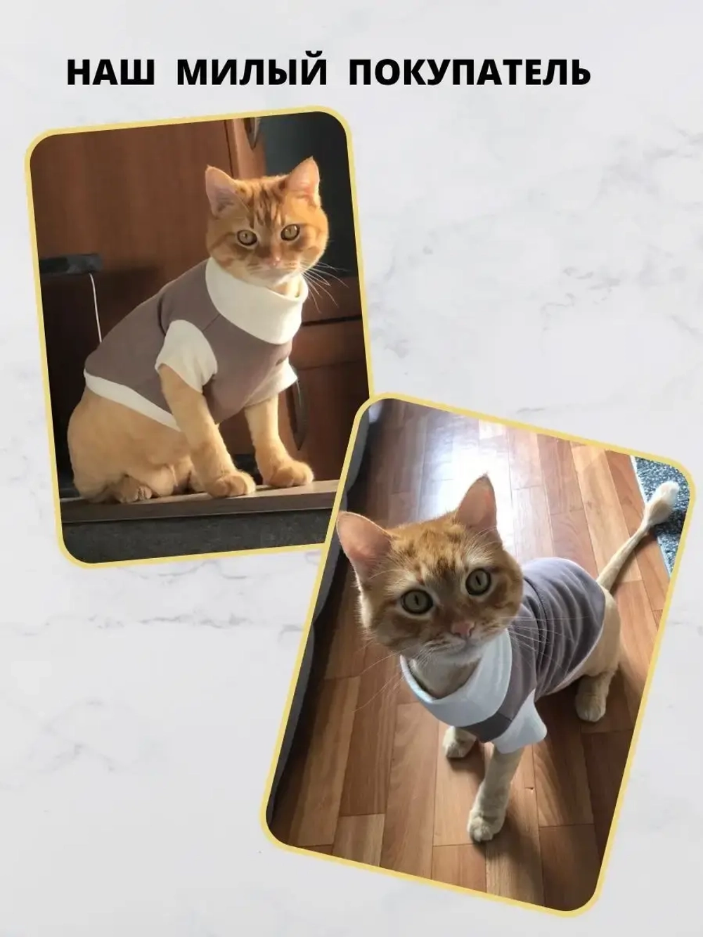 Футболка для собак мелких средних пород и кошек