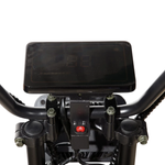 Электроскутер CityCoco Skyboard MyRussia (Маруся) BR60 3000W Trike