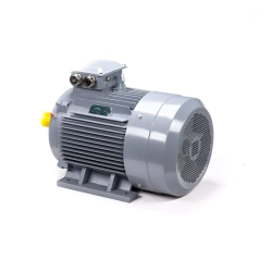 Электродвигатель ESQ PR 355 S4 GST-Б1-S32-IE2 250/1500 IM1001