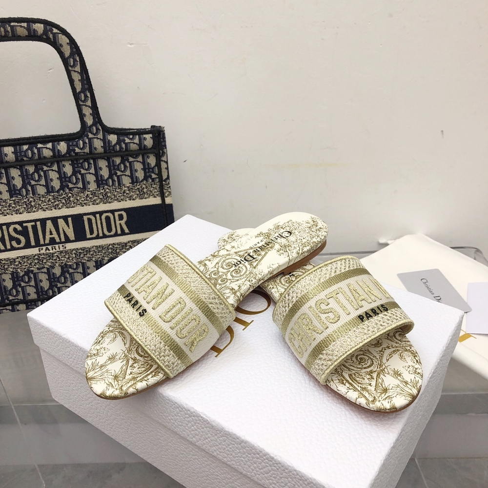 Christian Dior Dway Slide