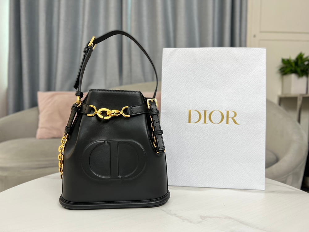 Christian Dior Medium C'est Dior Bag 24 cm